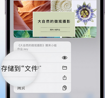 新北apple维修中心分享iPhone文件应用中存储和找到下载文件