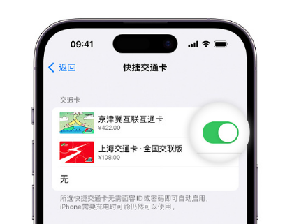 新北apple维修点分享iPhone上更换Apple Pay快捷交通卡手绘卡面 