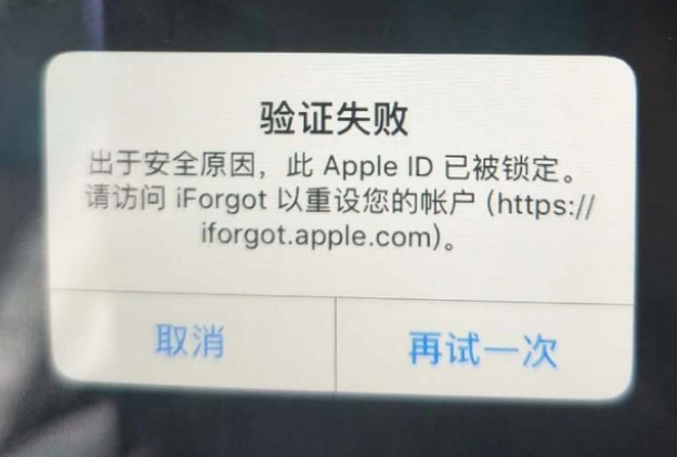 新北iPhone维修分享iPhone上正常登录或使用AppleID怎么办 