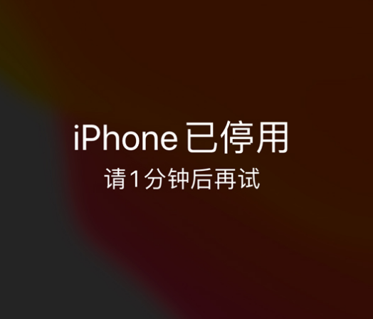 新北苹果手机维修分享:iPhone 显示“不可用”或“已停用”怎么办？还能保留数据吗？ 