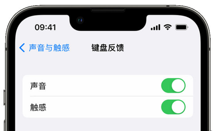 新北苹果手机维修分享iPhone 14触感键盘使用方法 