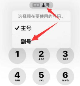 新北苹果14维修店分享iPhone 14 Pro Max使用副卡打电话的方法 