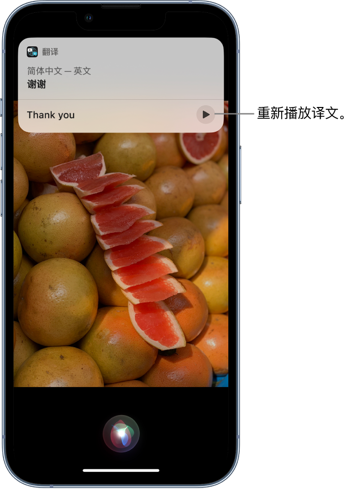 新北苹果14维修分享 iPhone 14 机型中使用 Siri：了解 Siri 能帮你做什么 