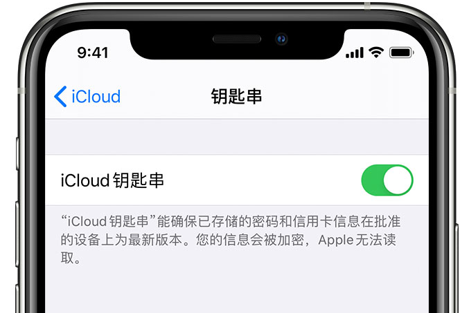 新北苹果手机维修分享在 iPhone 上开启 iCloud 钥匙串之后会储存哪些信息 