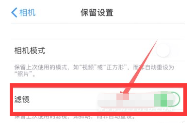 新北苹果13维修分享iPhone13拍照有绿点是怎么回事 